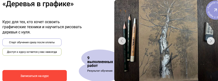 [Роман Круглов] [Художник Online] Деревья в график_0.png